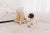 Bubble Wooden Activity Play Walker