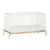 Leander Luna Cot